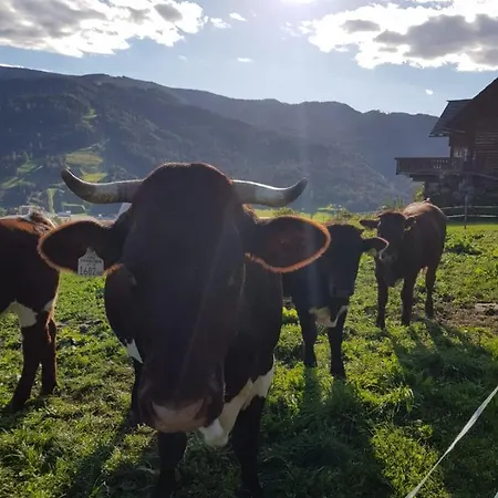 Huettenferien Koeberlhof Sankt Georgen ob Murau