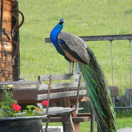 Huettenferien Koeberlhof Domek alpejski