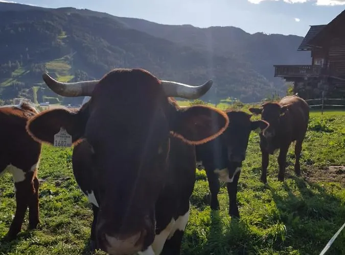 Hüttenferien Köberlhof Sankt Georgen ob Murau